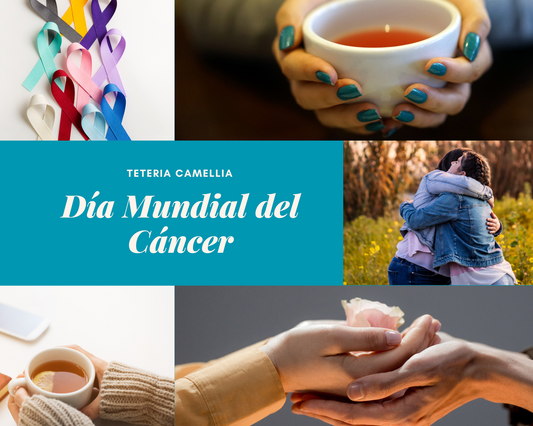 Acompañándote en el Día Mundial del Cáncer: El Papel de las Hierbas Medicinales