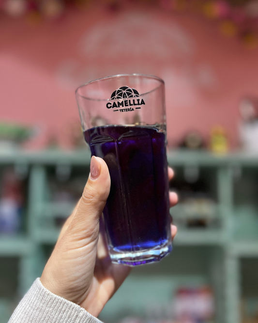 Entre Aromas, Colores y Tradición: Así Vivimos el Taller de Té Azul en Camellia