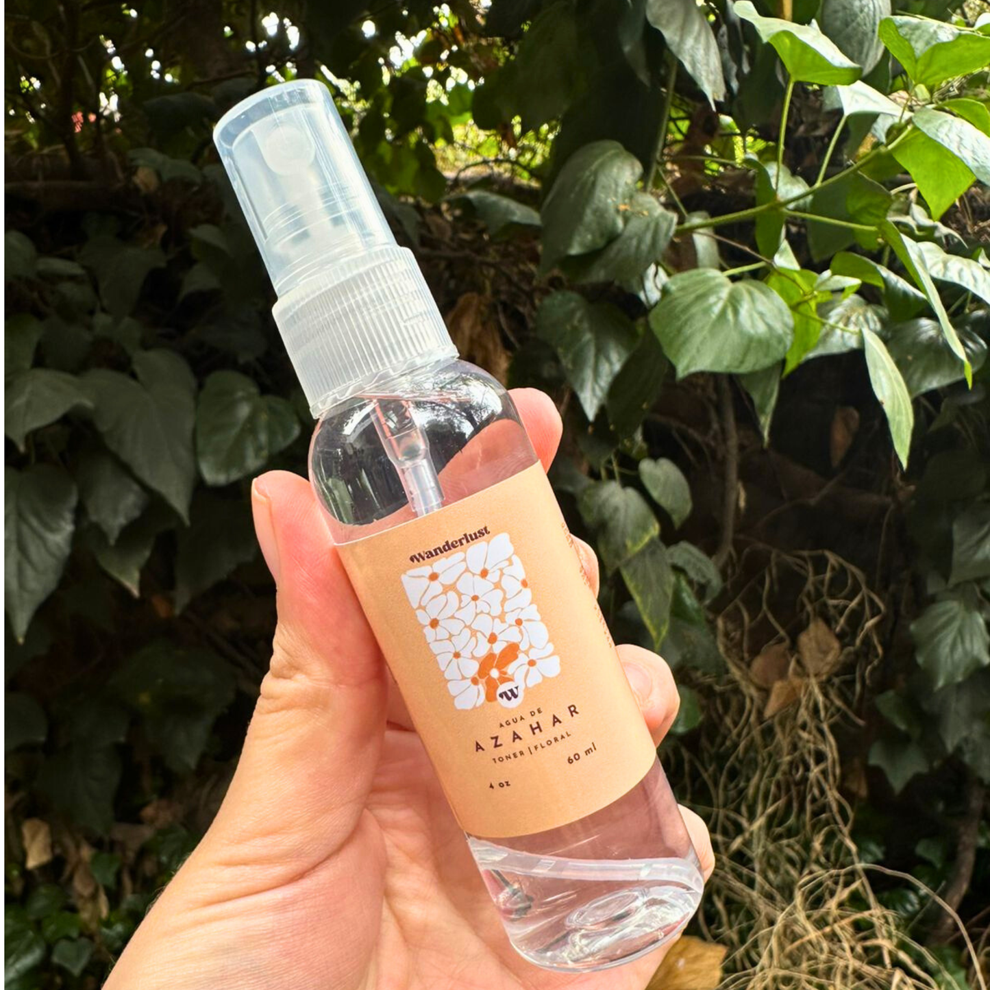 Caja Alma: Alivio & Digestión