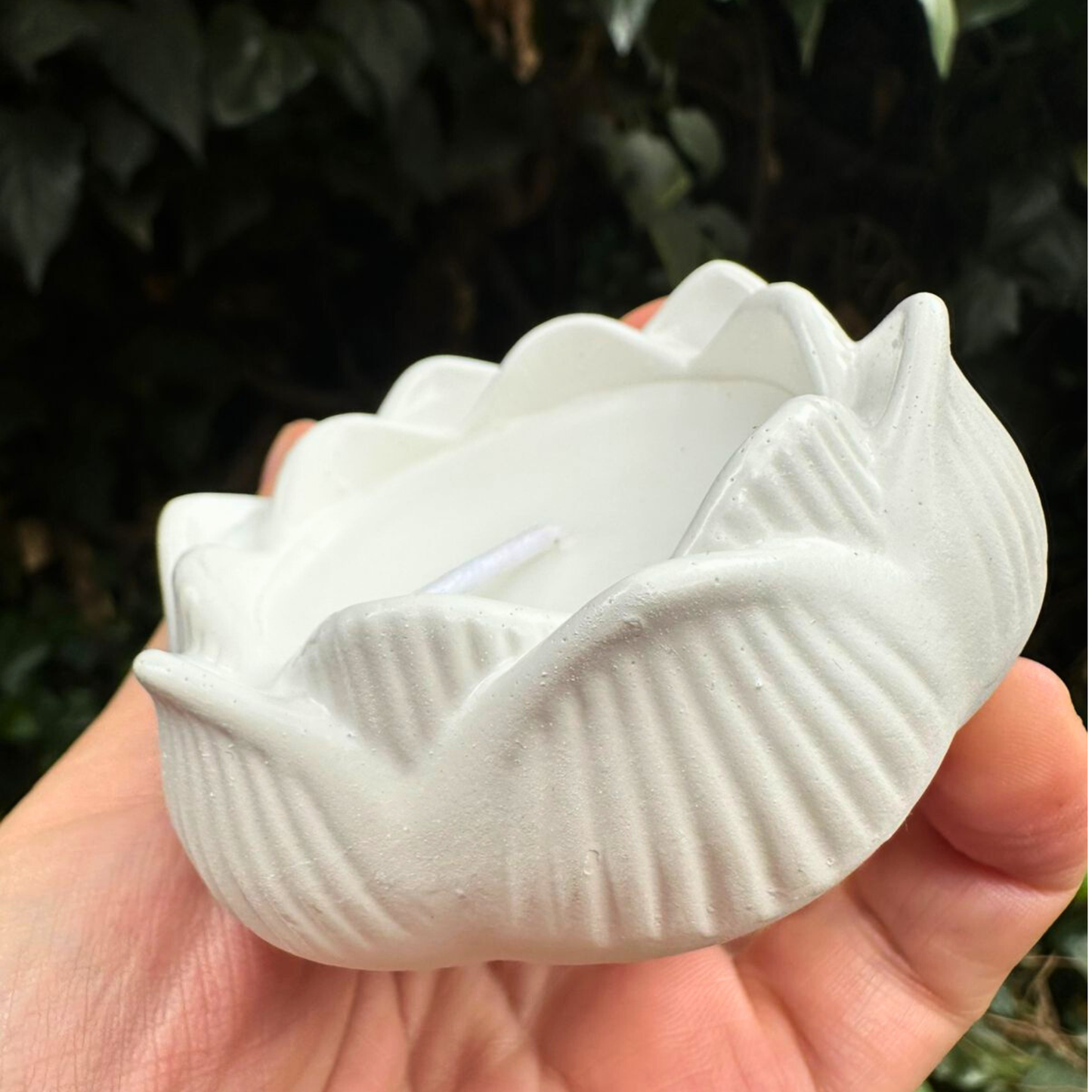 Caja Alma: Raíz Femenina Flor de Utero