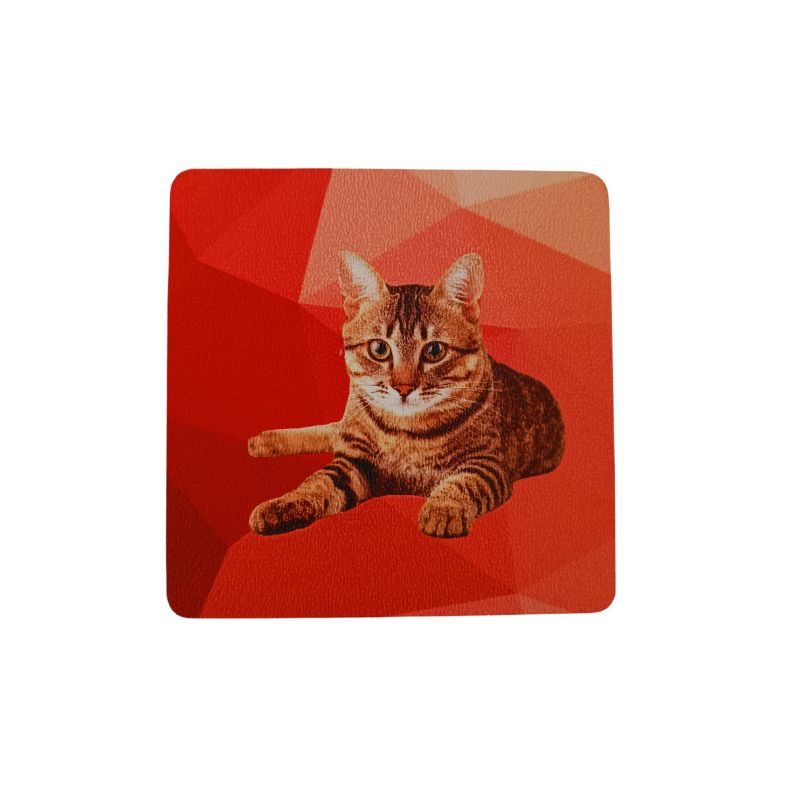 Set Posavasos GATOS