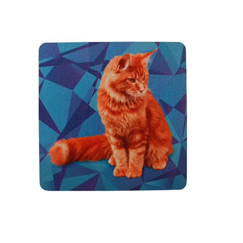 Set Posavasos GATOS