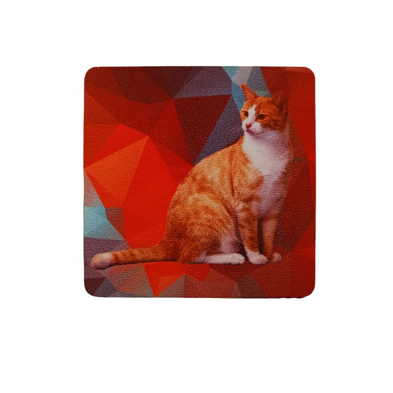 Set Posavasos GATOS