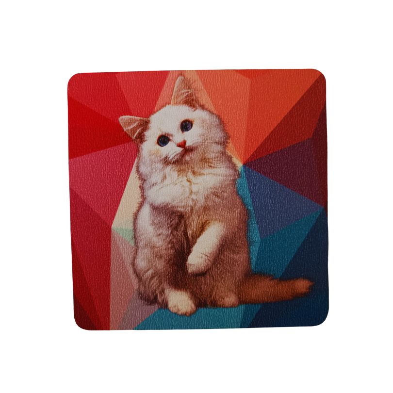 Set Posavasos GATOS