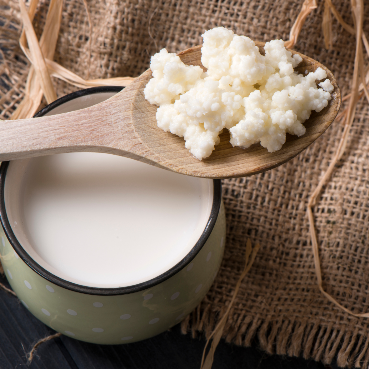 Taller Fermentados 15 de Noviembre