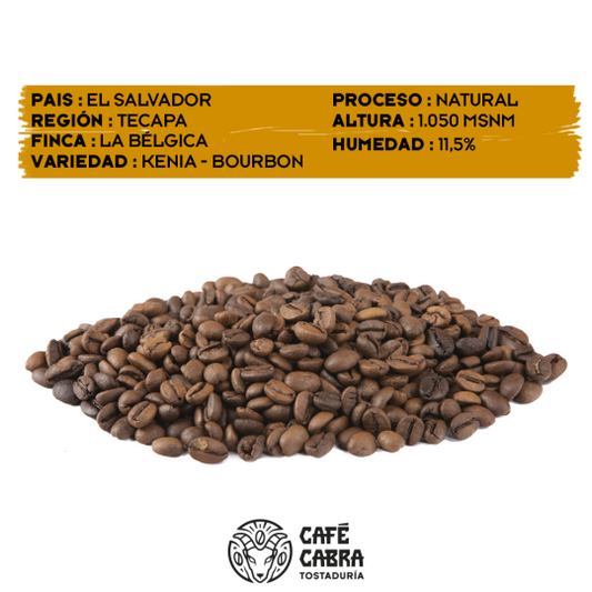 CAFÉ EL SALVADOR KENIBON ROJO GRANO ENTERO