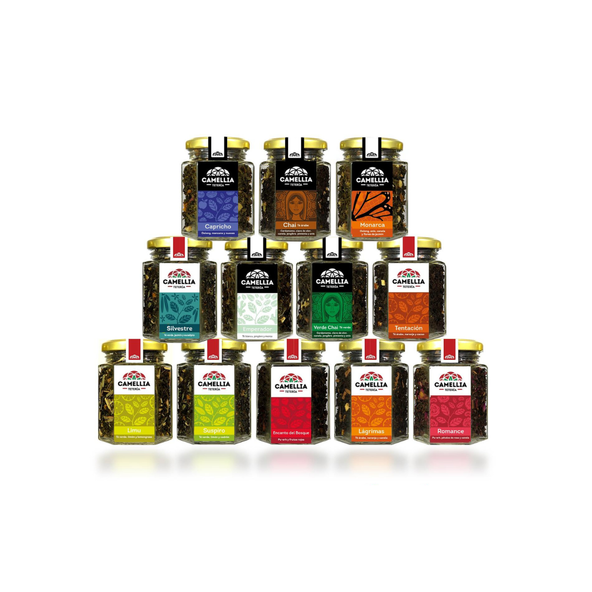 Tea Camellia Collection