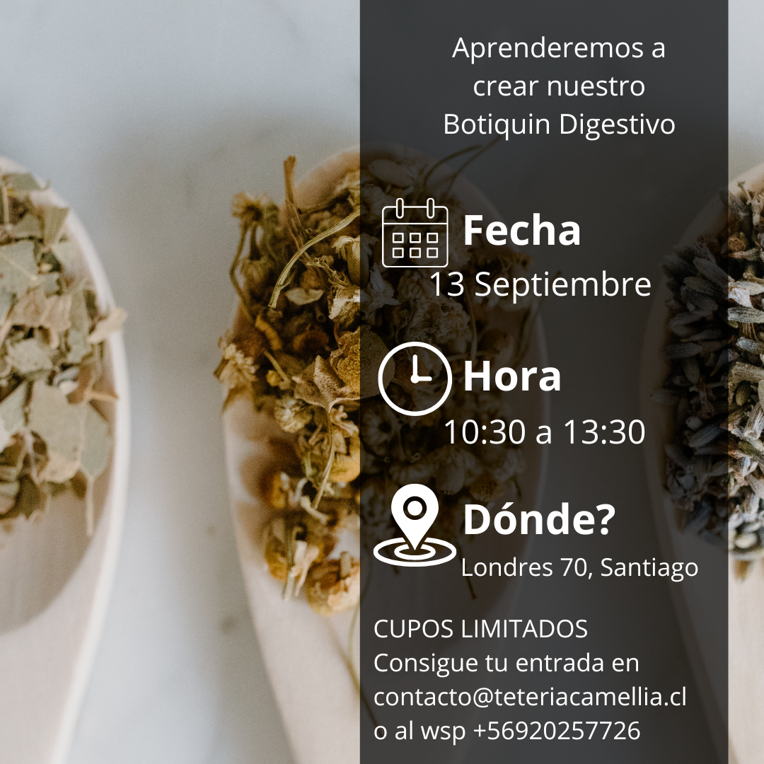 Taller Botiquín Digestivo