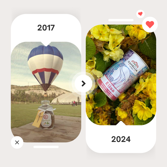 🌱 El viaje de Tetería Camellia: De 5 productos a más de 100, en 7 años 🌿