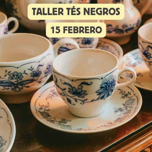 Un Viaje Profundo y Aromático: Así Vivimos el Taller de Tés Negros en Camellia
