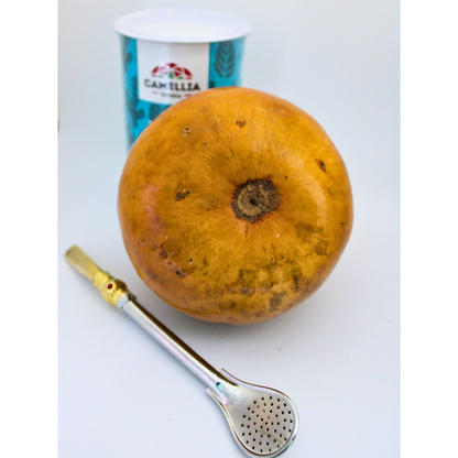 Pack Matero gran Calabaza + Mate Camellia + Bombilla