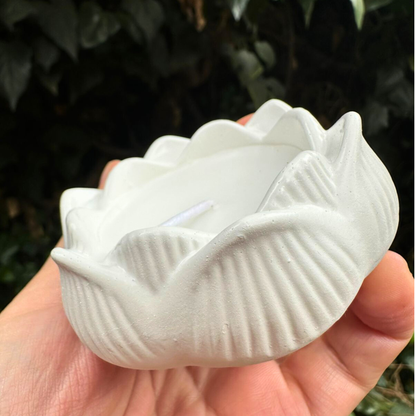 Caja Alma: Energía & Movimiento Mujer