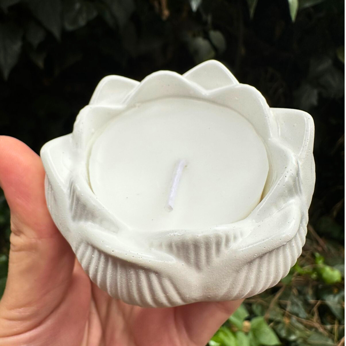 Caja Alma: Energía & Movimiento Mujer