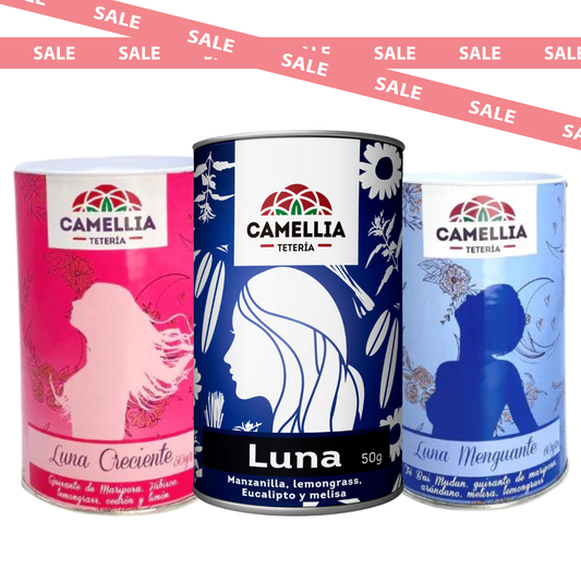 🌙 Pack Ciclos de Luna