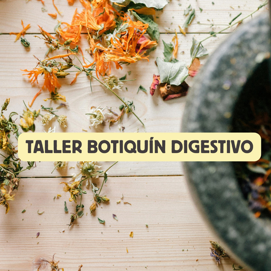Taller Botiquín Digestivo