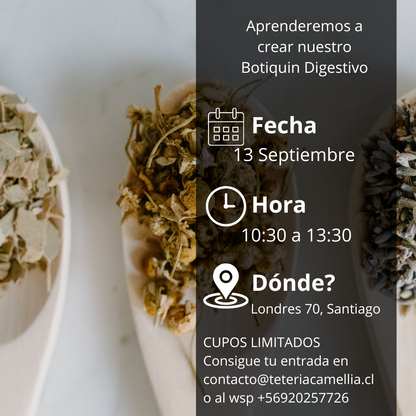 Taller Botiquín Digestivo