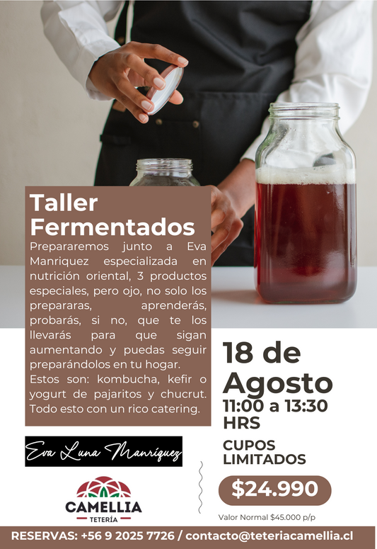 Taller Fermentados 18 de Agosto