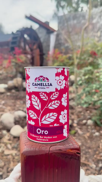 ORO, Té Blanco con Caléndula
